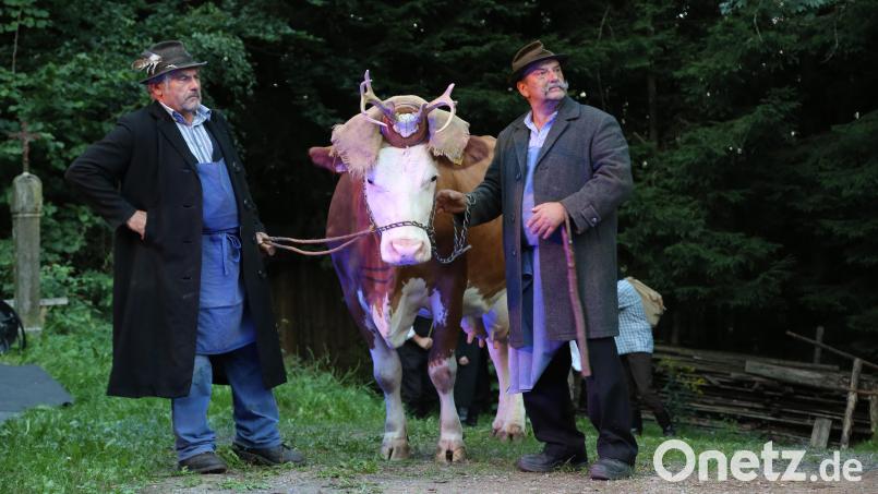 Die “Kuhflüsterer”: Links im Bild der zweite Vorsitzende des Paschervereins, Andreas Ebnet, rechts Gerhard Treiber, der die Arbeitseinsätze auf dem Eulenberg koordiniert und natürlich auch selber tatkräftig mithilft. Bild: Archiv Höcherl