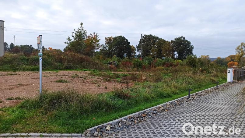 Auf dem 2000 Quadratmeter großen Grundstück am Mergelweg in Elbart sollen sechs Ferienhäuser entstehen. Bild: Siegfried Bock