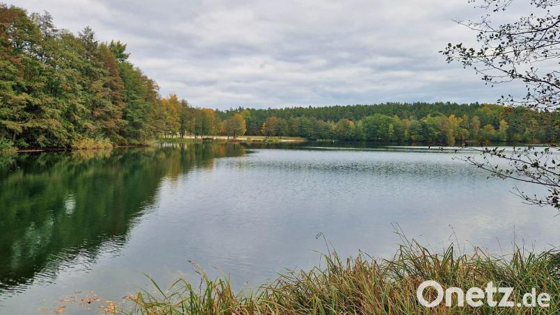 Blick zum Nordufer des Klausensees: Ein Hotel und Ferienhäuser sollen dort und westlich davon (links) enstehen. Bild: Thomas Dobler