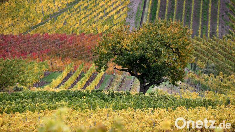 Zum Wochenende gibt es noch die Möglichkeit auf einige Sonnenstrahlen, dann ändert sich die Wetterlage. Bild: Karl-Josef Hildenbrand/dpa