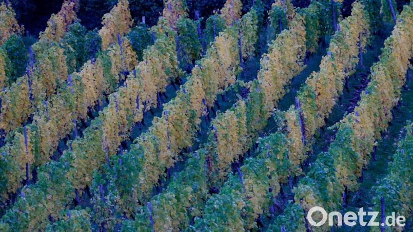 In der neuen Woche kann es in Deutschland zunehmend nass werden. Bild: Thomas Banneyer/dpa