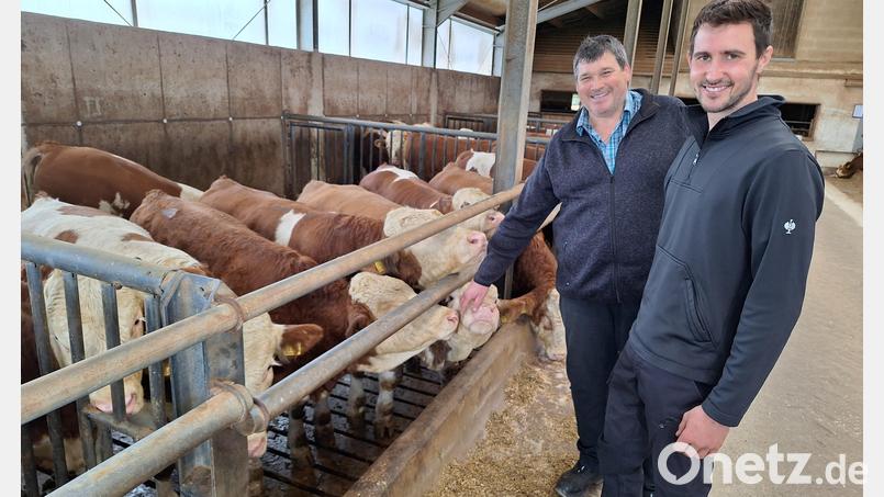 Für Rinderzüchter Georg Lorenz (links), hier mit seinem Hofnachfolger Michael, sind die gestiegenen Preise für Rindfleisch eine logische Konsequenz aus den politischen Rahmenbedingungen für die Landwirtschaft. Bild: bl