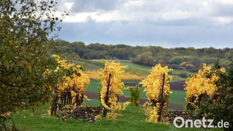 Wolken trüben den goldenen Herbst in Bayern in den kommenden Tagen. Bild: Karl-Josef Hildenbrand/dpa