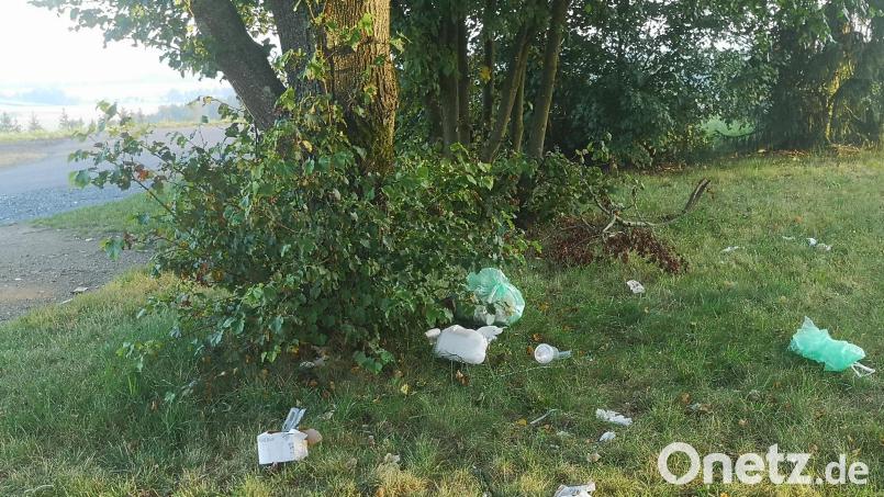 Müll am Straßenrand ist ganzjährig eine unschöne Erscheinung. Das Straßenbauamt hat bereits sporadisch Asylbewerber eingesetzt, die sich hier bei der Reinigung einbringen können. Für gemeinnützige Arbeiten stehen auch andere Betätigungsfelder offen. Symbolbild: lnz