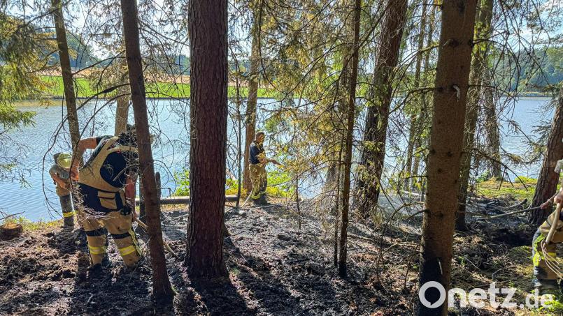 Mit Hacken bearbeiteten die Feuerwehrleute den Waldboden, um letzte Glutreste einzudämmen. Bild: Klaus Schicker