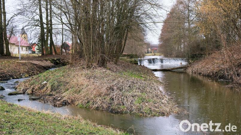 Die Creußen bei Tremmersdorf. Auch an dieser Stelle war ein ökologischer Umbau geplant. Archivbild: do