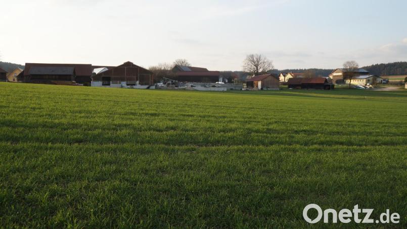 Für das geplante Gewerbegebiet bei Rottendorf muss der Flächennutzungsplan mit Landschaftsplan geändert werden. Archivbild: wel