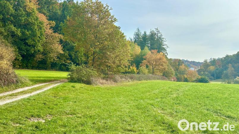 Die Leiche wurde in einem Waldstück zwischen Wodsteg und Stausee von einem Spaziergänger entdeckt. Bild:  Th. Linsmeier