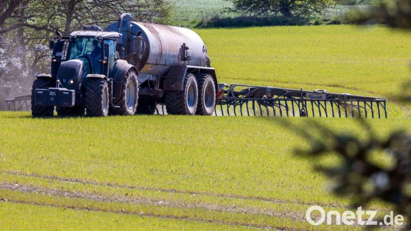 Das Bundesverwaltungsgericht Leipzig prüft, ob die bayerische Düngeverordnung Landwirte zu stark einschränkt. (Archivbild) Bild: Jens Büttner/dpa