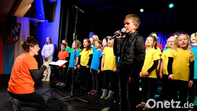 Die Musicalgruppe der Pfarrgemeinde St. Antonius/St. Wolfgang Kümmersbruck und der Pfarreiengemeinschaft Theuern/Ebermannsdorf/Pittersberg erhielt den Jugend-Kulturförderpreis für ihr Biblisches Musical &quot;Staunende Augen&quot;. Bild: gsp