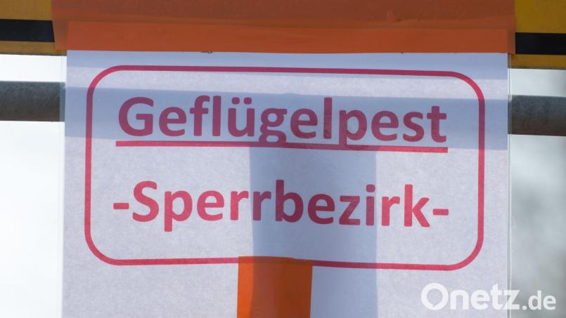 Auch bayerische Behörden warnen vor der Vogelgrippe. (Symbolbild) Bild: Armin Weigel/dpa