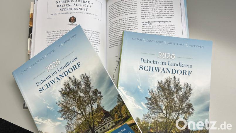 Nabburg hat Bayerns ältestes Storchennest. Im neuen Jahresband des Landkreises Schwandorf ist die Geschichte dazu nachzulesen. Bild: ihl