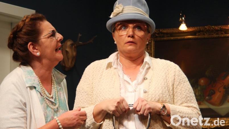 Die Sprachbox wäre für Gieschen Spatz (links: Daniela Seidel) und Meta Blümchen (Jasmin Mayerhöfer) freilich interessant. Leider ist den beiden das programmierte Aufforderungswort unbekannt. Bild: wro