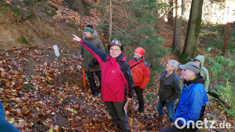 Bei der Exkursion im Gütting-Wald zeigt Gerhard Lehrberger auf historische Abbauspuren im Wald. Auch hier hat er vor über 40 Jahren als junger Student nach Gold gesucht. Bild: Friedrich Grüner