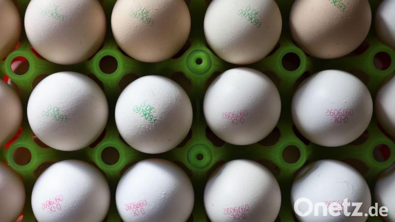 Eier könnten durch die Vogelgrippe teurer werden. (Symbolbild) Bild: Karl-Josef Hildenbrand/dpa