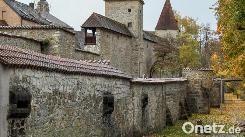 Die Amberger Stadtmauer soll notfalls auch ohne Fördergelder saniert und aufgehübscht werden. Darin ist sich der Stadtrat einig. Bild: Petra Hartl