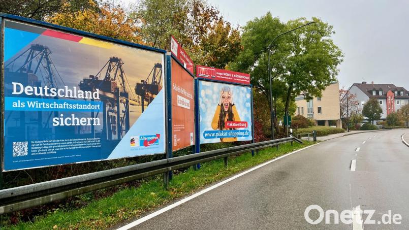 Seit Wochen wirbt die AfD-Bundestagsfraktion an der Dr.-Pfleger-Straße in Weiden für ihre Themen. Laut Stadt Weiden ist das erlaubt. Bild: Gabi Schönberger
