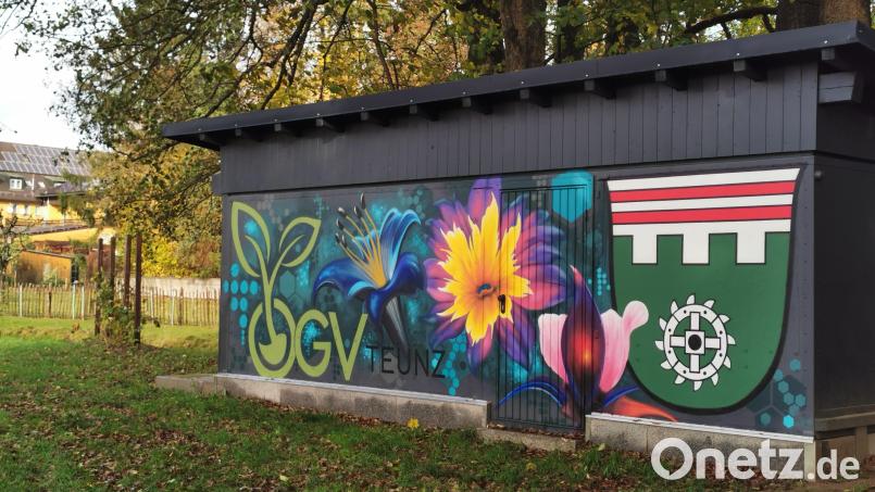 Der Graffiti-Container am Vereinsgelände des OGV Teunz ist ein Projekt im ILE-Regionalbudget 2025. Bild: Portner