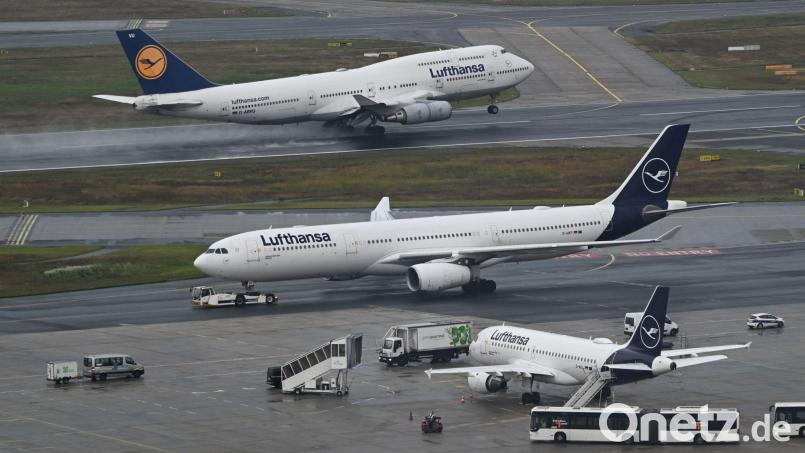 Inlandsflüge lohnen sich für die Lufthansa kaum. (Archivbild) Bild: Arne Dedert/dpa