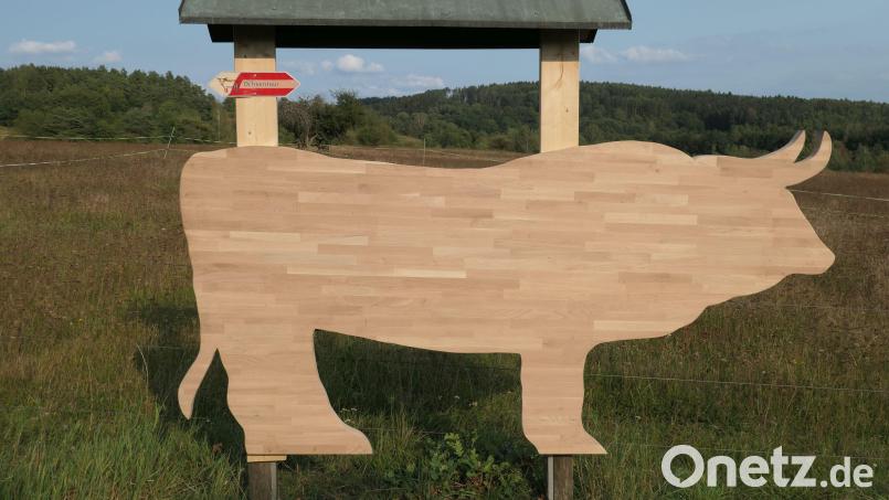 1150 Euro Förderung aus dem Regionalbudget der Frankenpfalz&quot; erhielt zum Beispiel die Ortsgruppe Auerbach im Landesbund für Vogelschutz für diesen Holz-Auerochsen an der &quot;Ochsentour&quot; in den Grubenfeldern Leonie. Archivbild: Peter Eckert/exb