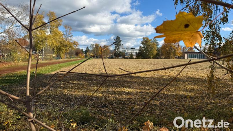 Die Planung läuft. Mehrfamilien-, Einfamilien- und Doppelhäuser werden einmal den ehemaligen Sportplatz der SV Detag zwischen Europa-Berufsschule (Bildmitte) und Königsbergerstraße in der Stockerhut säumen. Dem Bauausschuss lag nun der Vorentwurf zum Bebauungsplan vor. Bild: Gabi Schönberger