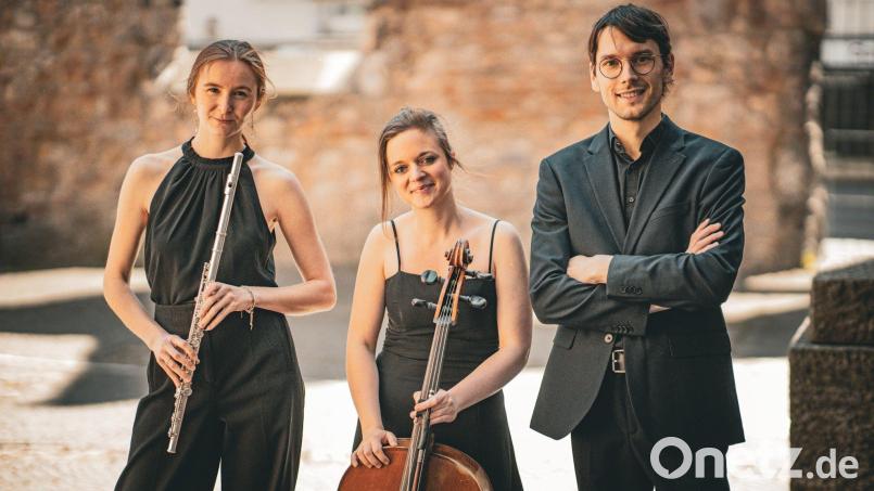 Das Zoria-Trio gibt am 12. November in Sulzbach-Rosenberg ein Konzert. Bild: Aaron Bunker