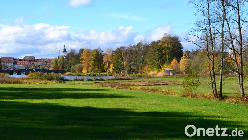 Tirschenreuth ist dank insgesamt 50 Hektar Grünfläche allein im Stadtgebiet schon auf einem guten Weg in Richtung naturnahe Kommune. Ein zentraler Ort und gutes Beispiel ist der Fischhofpark. Zwei Drittel des ehemaligen Landesgartenschaugeländes sind grüne Bereiche, die gepflegt werden müssen. Die Verantwortlichen erarbeiten für die Kreisstadt aktuell ein neues Pflegekonzept, für das es finanzielle Unterstützung vom Freistaat gibt. Bild: Thorsten Schreiber