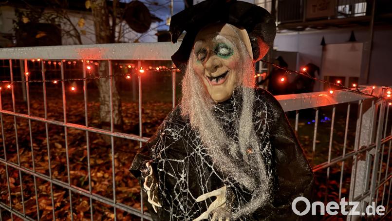 Auch Hexen schmücken die Zäune der amerikanischen Familien. Bild: Julia Benkhardt