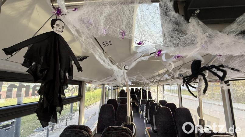 Spinnen, Totenköpfe, Fledermäuse: Wer derzeit mit dem Linienbus zwischen Neuhaus und Pressath fährt, ist umgeben von allerhand gruseliger Dekoration. Bild: Gabi Schönberger