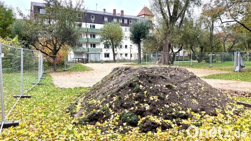 Für die Sanierung der Wohnhäuser Hinterm Zwinger 20 und 22 wird eine Baustellenzufahrt durch den Max-Reger-Park in Weiden eingerichtet. Bild: Gabi Schönberger