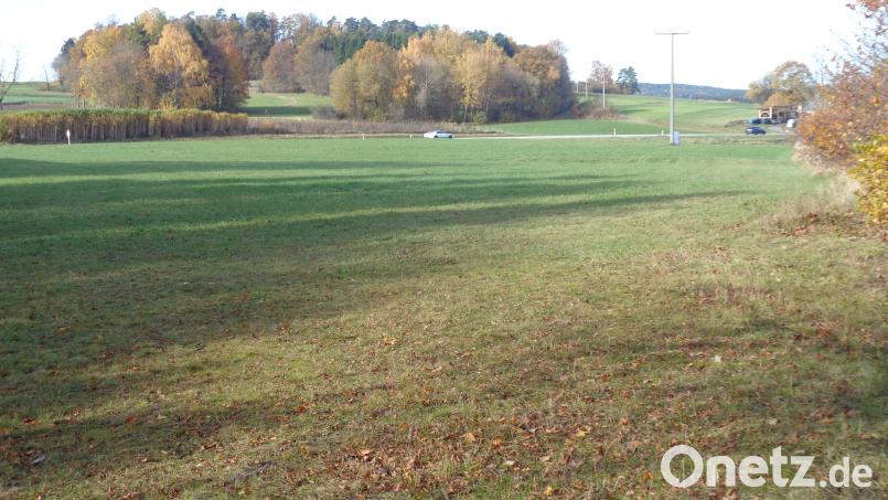 Eine Ausgleichsfläche zum Gewerbegebiet im Vordergrund liegt beim Kalvarienberg im Hintergrund. Bild: amö