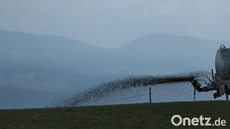 Ein Landwirt hat 400 Kubikmeter Mist unsachgemäß gelagert und damit Gewässer verunreinigt. Symbolbild: Karl-Josef Hildenbrand/dpa