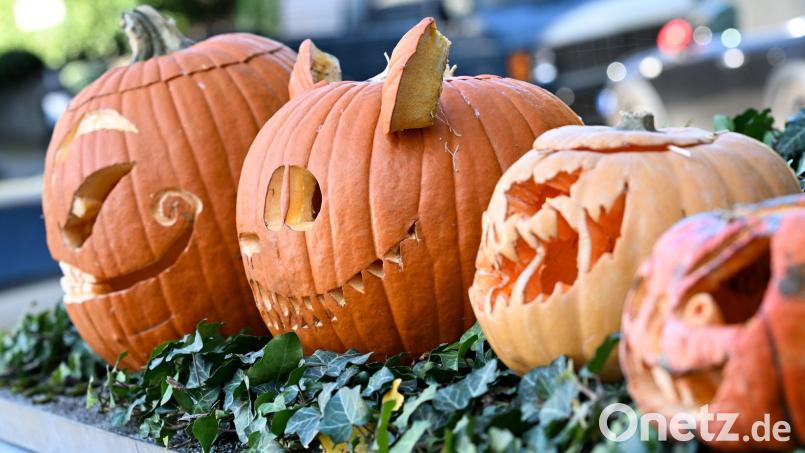 Die Polizei in der Oberpfalz ruft zu einem verantwortungsvollen Umgang mit Halloween-Streichen auf. Bild: Polizei Oberpfalz