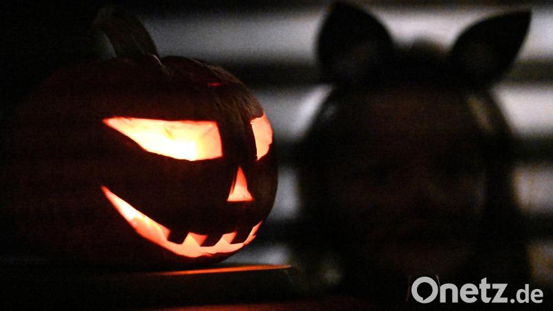 Zahlreiche Einsätze hatte die bayerische Polizei in der Halloween-Nacht. (Symbolbild) Bild: Swen Pförtner/dpa
