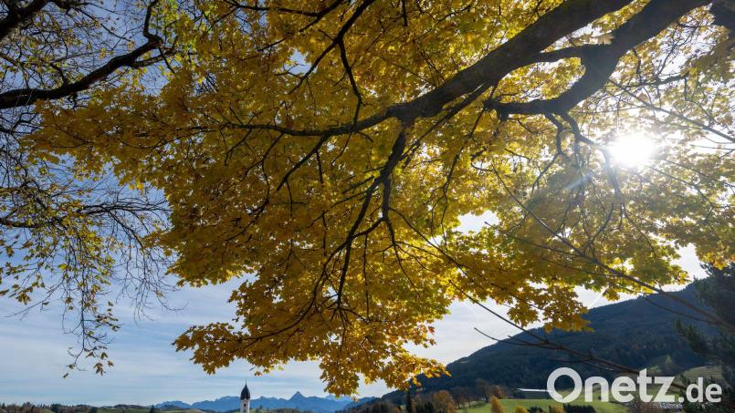 Auf mildes Herbstwetter am Samstag folgte am Sonntag vielerorts reichlich Regen. Bild: Stefan Puchner/dpa