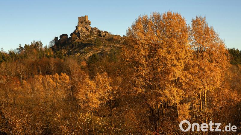 Die Bahn-Sozialwerk-Fotogruppe Weiden zeigt im November im Maria-Seltmann-Haus in Weiden ihre Ausstellung „Herbstlicht“ Bild: Herta Schnell
