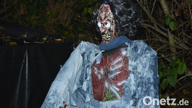 Unzählige Skelette gab es zu sehen. Bild: jr