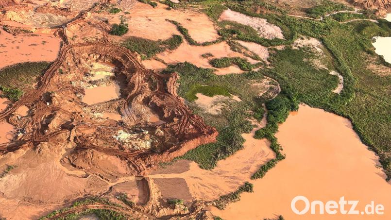 Aus der Luft sind abgeholzte Flächen im Amazonas-Gebiet zu sehen. (Archivbild) Bild: Philipp Znidar/dpa