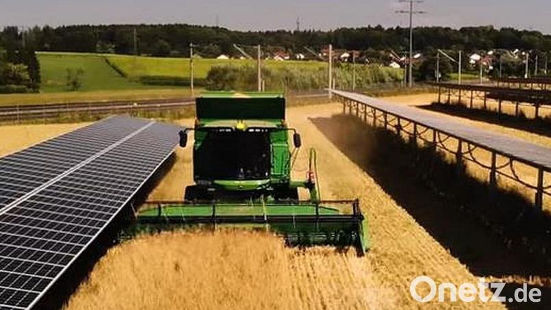 Die Agri-Freiflächenphotovoltaikanlage Trag nahm eine weitere Hürde. Der Stadtrat Eschenbach stellte mit einem Festsetzungsbeschluss die 17. Änderung des Flächennutzungsplanes der Stadt fest. Archivbild: Doppelernte/exb