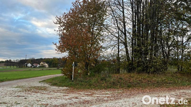 Im Stadtrat Vilseck waren Abwasser und Wasserversorgung ein Thema. Für eine notwendige Druckerhöhungsanlage muss ein Gebäude errichtet werden. Am dafür vorgesehenen Standort (Bild) müssen eventuell zwei Marterln vesetzt werden. Bild: Stefanie Gradl