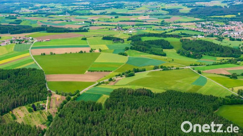 Auf Teilen dieser freien Fläche im Südwesten von Windischeschenbach (rechts im Bild) würden zwei Unternehmen gerne einen Windpark bauen. Bild: mür