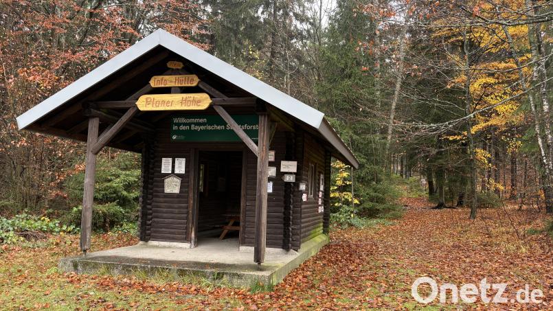 Der Wanderparkplatz Planer Höhe bei Waldkirch ist Startpunkt der künftigen AR-Tour. Bild: Jona Lang