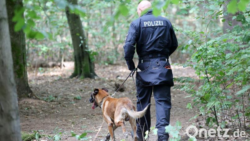 Mit großen Suchaktionen hatte die Polizei etwa im Altonaer Volkspark in Hamburg nach der vermissten Hilal gesucht. Archivbild: Bodo Marks/dpa