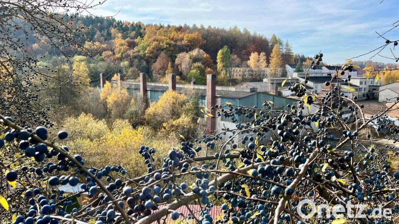 Das bayerische Umweltministerium hat für die Stadt Neustadt/WN und seine Bewohner die Tür geöffnet, aus der ehemaligen Bleikristallfabrik Tritschler ein grünes Naherholungsgebiet zu machen. Bild: Gabi Schönberger