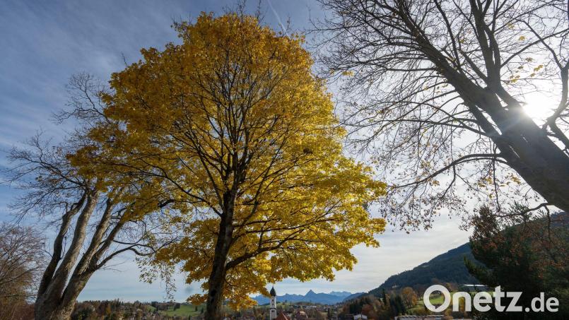 In Bayern bringt das Wetter ordentlich Nebel und ein wenig Sonne mit. (Symbolbild) Bild: Stefan Puchner/dpa