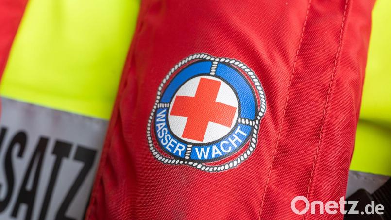 Kräfte von Polizei und Wasserwacht rückten am Dienstagnachmittag zu einem Einsatz auf der Donau aus. (Symbolbild) Bild: Peter Kneffel/dpa