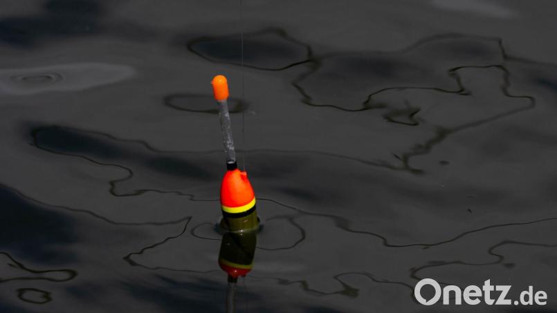 Einen 34 Zentimeter großen lebenden Fisch fand die Polizei an der Angel des Jugendlichen. (Symbolbild) Bild: Stefan Sauer/dpa