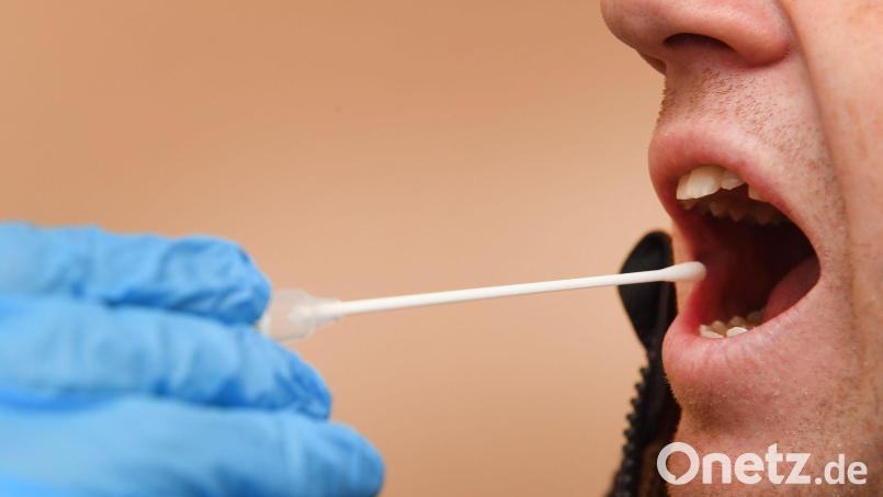 Ein Betrugsversuch mit einem Vaterschaftstest war Thema einer Gerichtsverhandlung am Amtsgericht Dillingen. (Symbolbild) Bild: Stefan Sauer/dpa