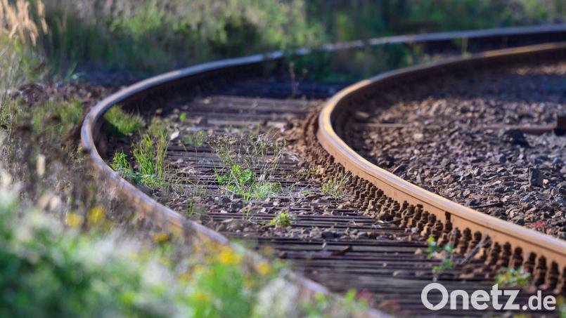 Die Fuchstalbahn wird seit 1984 nur noch für Güterzüge benutzt. (Symbolbild) Bild: Jens Büttner/dpa-Zentralbild/dpa