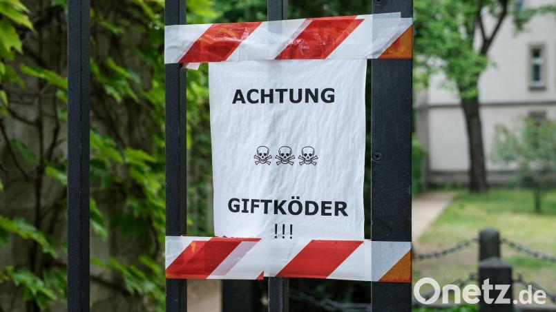 Die Polizei ermittelt nach dem Fund der Giftköder. (Symbolbild) Bild: Jens Kalaene/dpa-Zentralbild/dpa